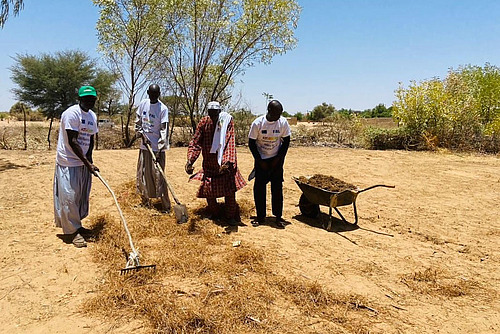 Vier Männer hantieren in aridem Umfeld mit Werkzeug und Pflanzenresten vor einem Baum. 