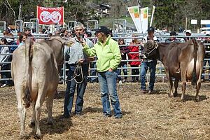 Biobauern und Anet Spengler mit zwei Kühen im Ring.