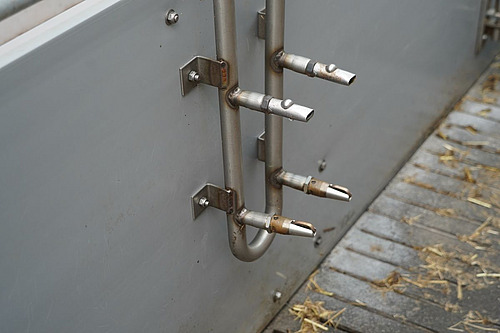 Nippeltränken ermöglichen Schweinen den Zugang zu frischem Wasser und bleiben im Vergleich zu offenen Tränken meist sauberer. Für eine ausreichende Wasserversorgung sind ein genügend hoher Wasserdurchfluss sowie eine regelmässige Kontrolle und Wartung entscheidend.