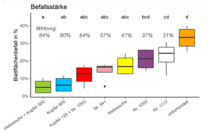 Boxplot-Diagramm mit 8 Einträgen