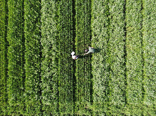 Zwei Menschen auf einem Feld.