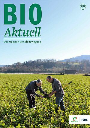 Titelseite Bioaktuell 2|2020, zwei Männer mit Spatenprobe auf einem Acker mit Ölrettich-Gründüngung