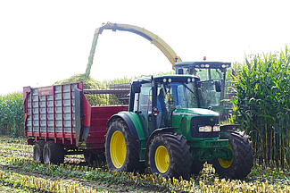 Maishäcksler und Traktor mit Anhänger bei der Maisernte auf dem Feld