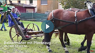 Mähmaschine mit Pferdezug im Einsatz