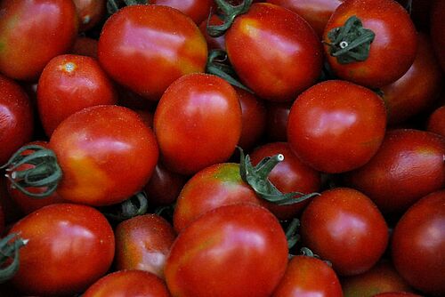 Ein Bild mit Datteltomaten. 