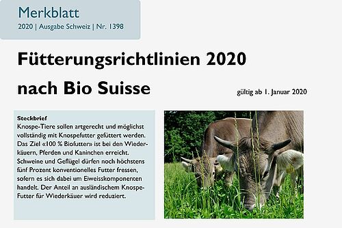 Titelseite des Merkblattes "Fütterungsrichtlinien 2020 nach Bio Suisse"