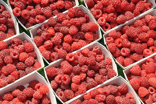 Mit Himbeeren gefüllte Kartonschälchen.
