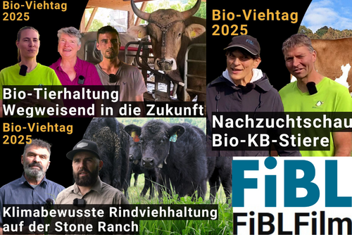 Ein Komposit mit Thumbnails von drei FiBL Filmen.