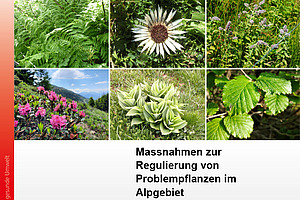 Titelseite der Publikation