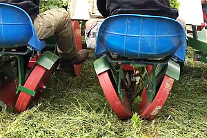 Gemüsesetzlingspflanzmaschine im Einsatz auf mit Mulch bedecktem Feld