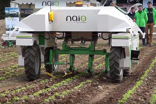 Roboter Dino beim Unkrautjäten