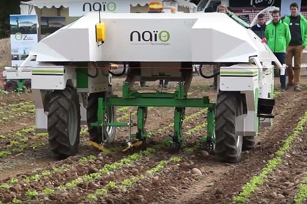 Roboter Dino beim Unkrautjäten