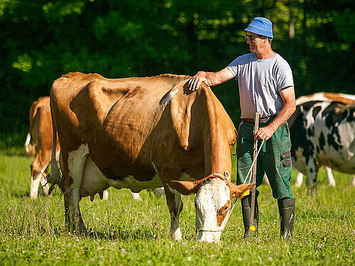 Bauer mit Kuh draussen
Gruppe mehrerer Bauern und eine Bäuerin, drei mit Auszeichnung in den Händen