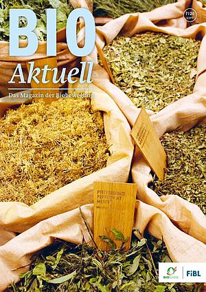 Titelseite Bioaktuell 7|2020, getrocknete Kräuter in Jutesäcken, im Vordergrund Pfefferminze
