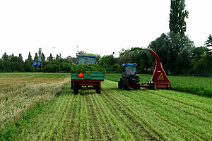 Kleegrasernte: Der Schlegelhäcksler wirft das Gras in einen Miststreuer