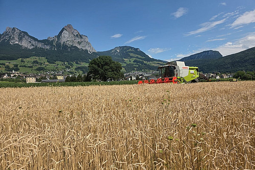 Ein Getreidefeld während der Ernte, im Hintergrund eine Bergkette. 