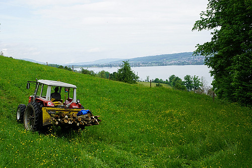 Ein Traktor in einem Feld mit einem See im Hintergrund.