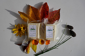Zwei Tofu-Päckli mitten in ein Paar schöne Blumen.