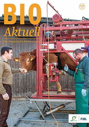 Titelseite Bioaktuell 3|2019; Rind im Klauenpflegestand