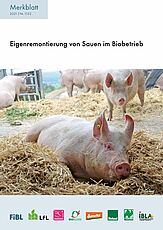 Titelseite Merkblatt zur Eigenremontierung von Sauen