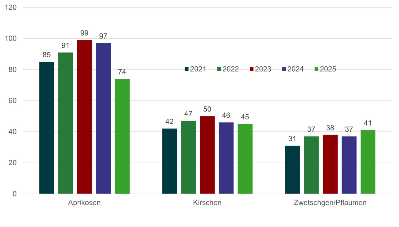 Grafik Flächenentwicklung Obstanlagen Steinobst