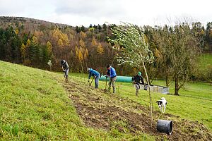 Mehrere Menschen arbeiten mit Spaten auf einem Pflanzstreifen, im Vordergrund steht bereits ein Baum.
