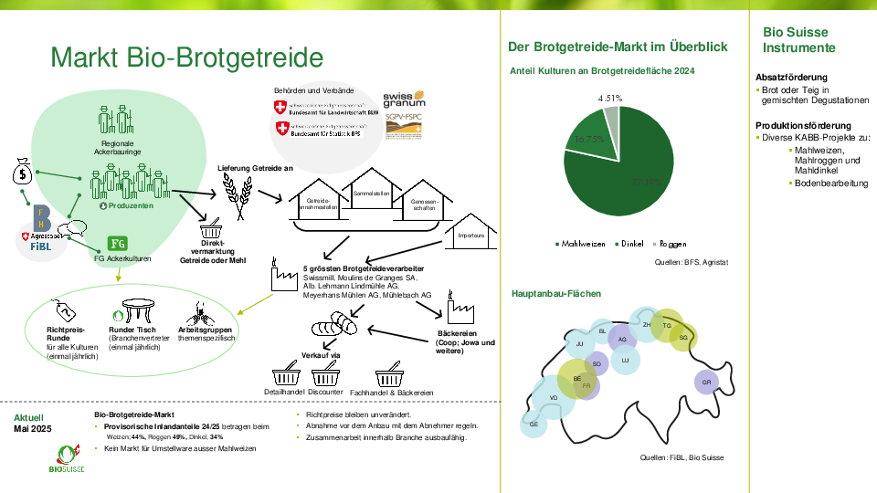 Der Biobrotgetreidemarkt auf einen Blick