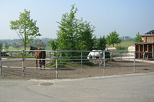 Ein befestigter Auslaufplatz mit Pferden.