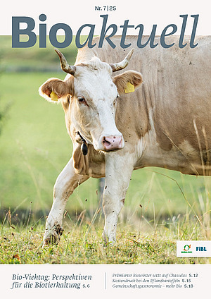 Titelseite Bioaktuell 7|25: Eine Kuh mit Hörnern auf der Weide. Sie tritt von rechts ins Bild.