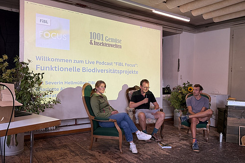 Drei Personen sitzen vor einer Powerpoint-Präsentation in Fauteuils.