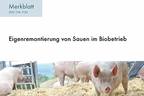 Titelseite des Merkblatts zur Eigenremontierung