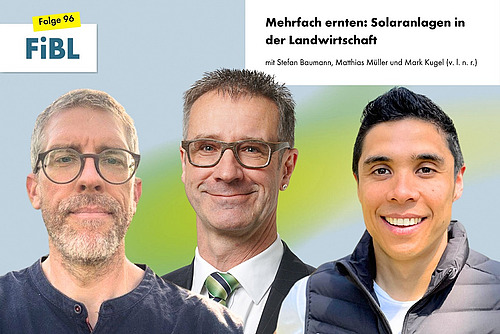 Drei Männer.