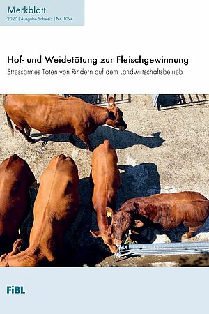 Titelseite FiBL-Merkblatt mit fünf Rindern von oben