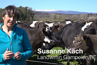 Landwirtin Susanne Käch berichtet über das Weidemanagement auf ihrem Milchviehbetrieb.