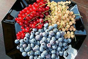 Reife rote und weisse Johannisbeeren sowie Heidelbeeren auf einem schwarzen Teller