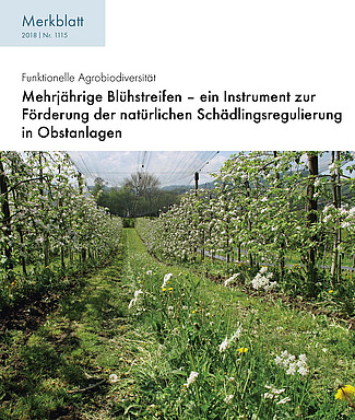 Titelseite des Merkblattes. Foto: Obstanlage und Blühstreifen in Blüte