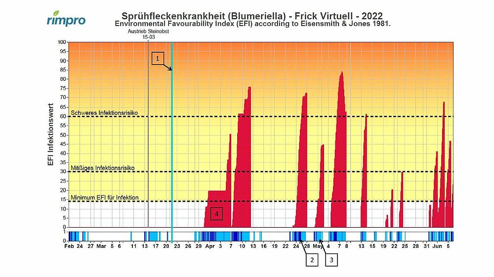 RIMpro Grafik Kirschen- Sprühfleckenkrankheit (Blumeriella jaapi)