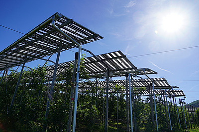 AgriPV-Anlage in der Sonne.