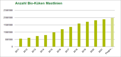 Anzahl Bioküken Mastlinien, Schweiz