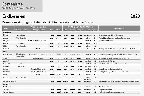 Tabellarische Sortenliste Erdbeeren