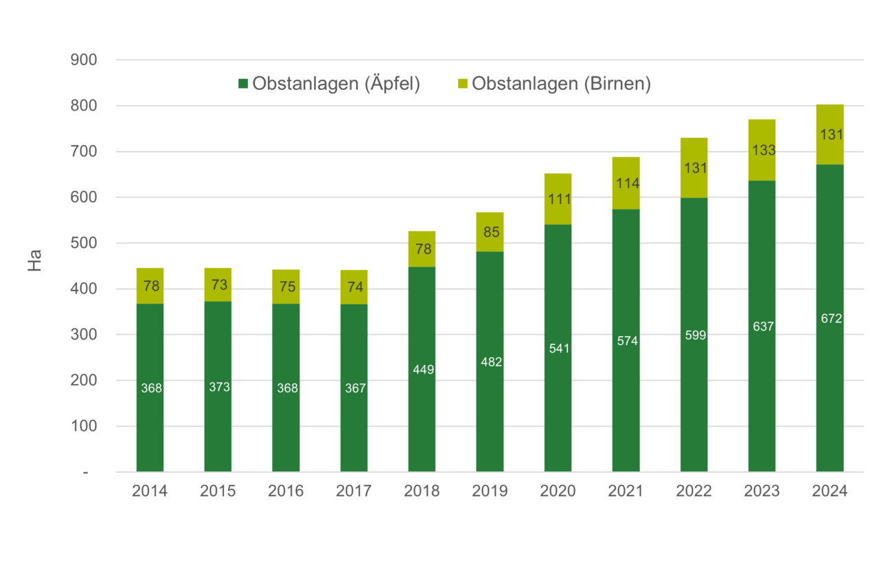 Grafik Flächenentwicklung Biokernobst.