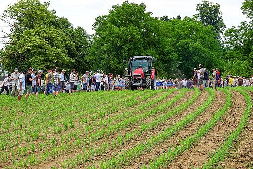 Traktor mit Hackgerät im Einsatz im Maisfeld, umringt von vielen Zuschauern