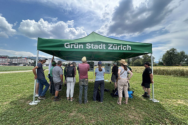 Teilnehmende eines Flurgang stehen auf dem Feld im Schatten eines Zeltes mit der Aufschrift "Grün Stadt Zürich".
