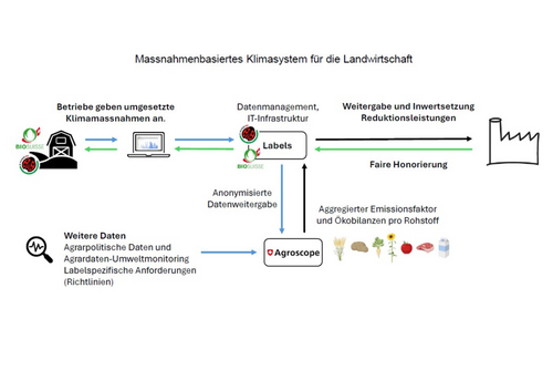 Eine Grafik mit mehreren Elementen, die mit Pfeilen untereinander verbunden sind.