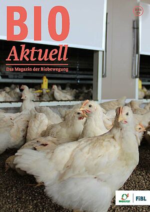 Titelseite Bioaktuell 3|2021: Zahlreiche weisse Tiere im Stall für die Bruderhahnmast.
