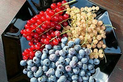 rote und weisse Johannisbeeren sowie Heidelbeeren auf einem schwarzen Teller