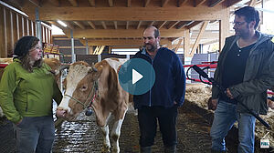 Florian Leiber interviewt das Betriebsleiterpaar im Stall, in der Mitte die behornte Kuh Berge; Foto mit Film-Button
