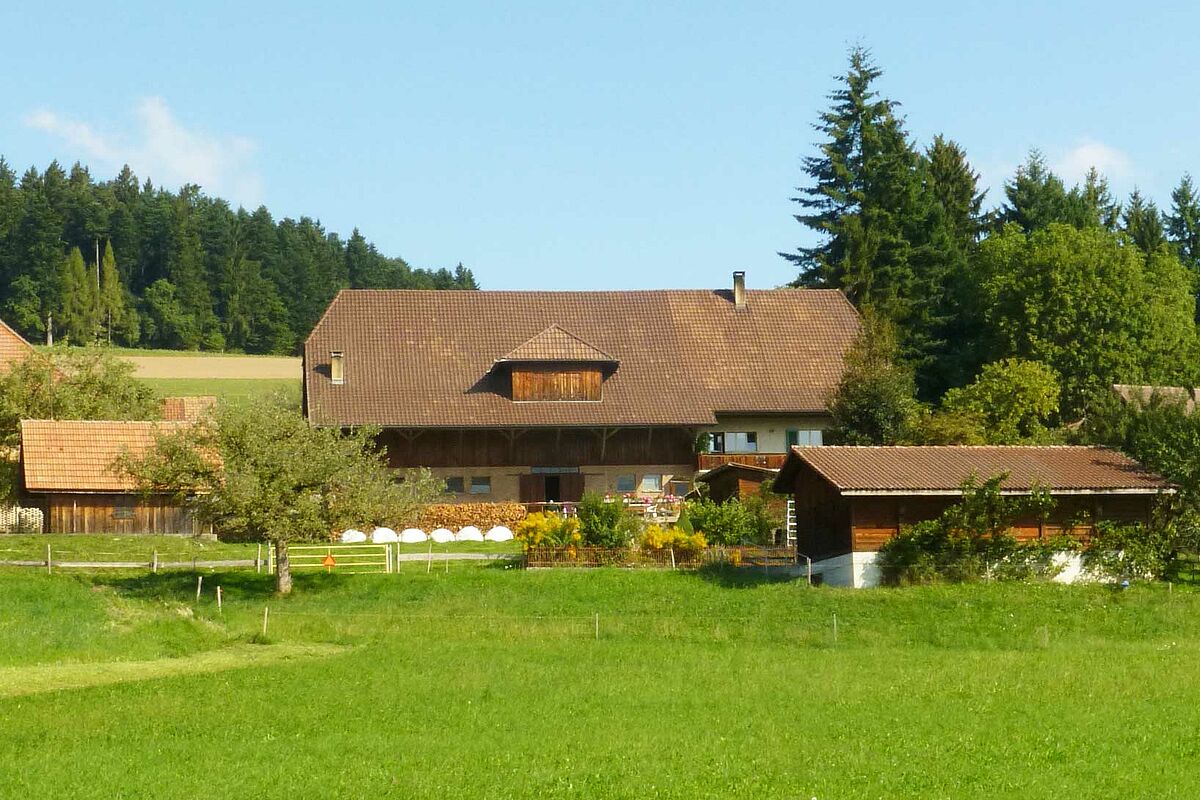 An Umstellung interessiert? Besuchen Sie einen Biobetrieb!