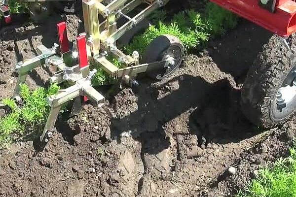 Duoparallelogrammgerät beim Hacken im Karottenfeld