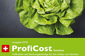 Titelseite Prospekt ProfiCost Gemüse